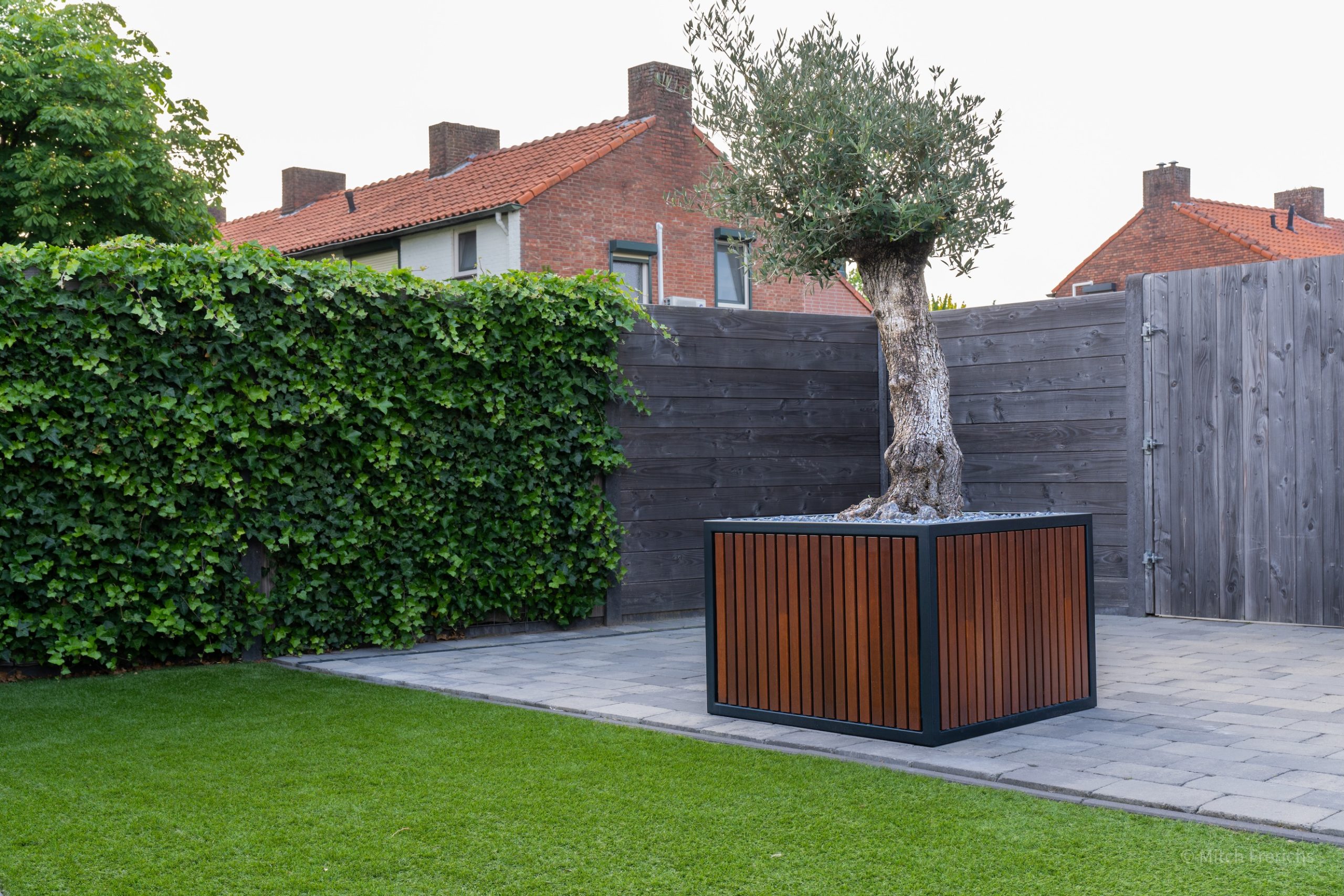 Olivia Grande plantenbak met olijfboom zwart staal en hardhout